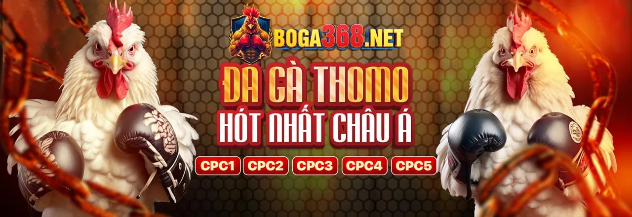 Đá Gà Trực Tiếp wim23